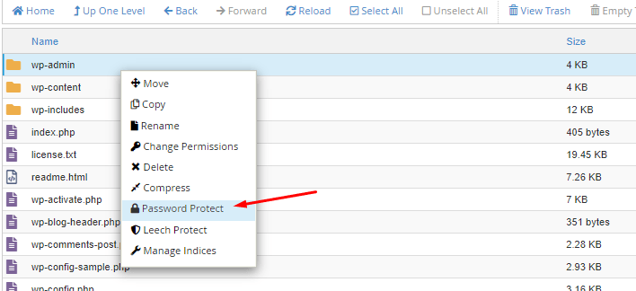 chọn password protect