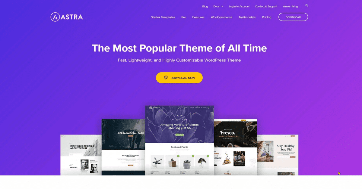 Top 8 theme wordpress bán hàng được ưa chuộng nhất hiện nay 8 Theme Astra WordPress
