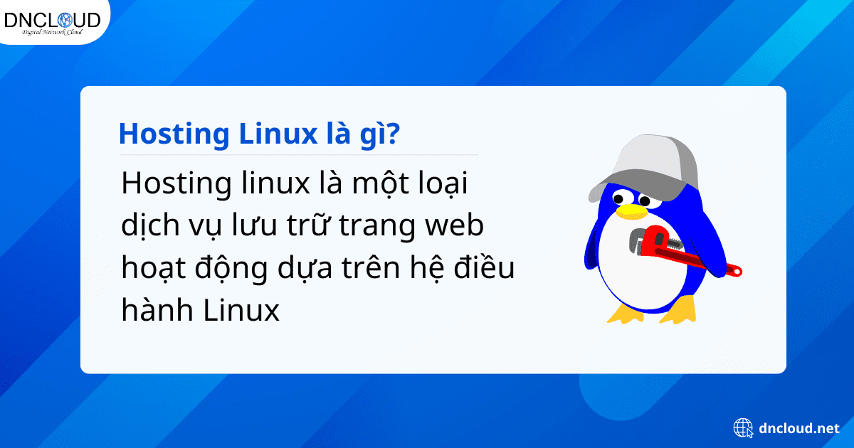 Hosting Linux là gì? Chi tiết về Linux hosting mới nhất 2025 6 Hosting Linux là gì?