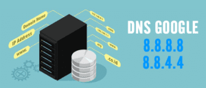 297 doi dns
