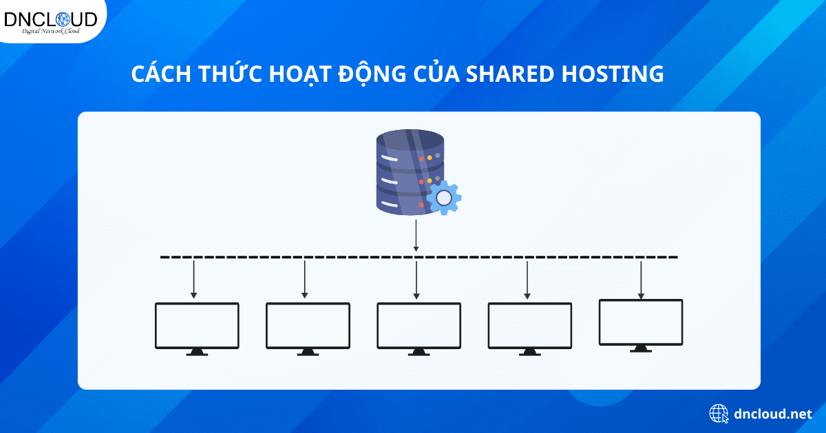 Shared hosting hoạt động như thế nào