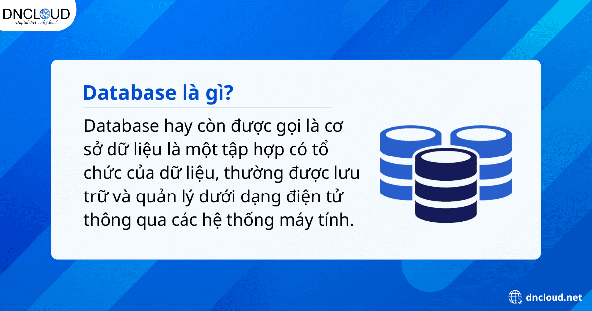 Database là gì?
