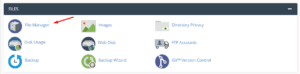 file manager