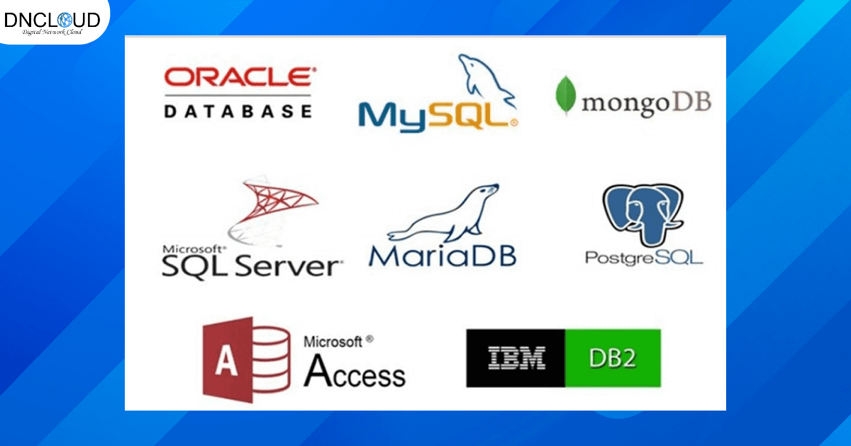 Những loại Database phổ biến hiện nay