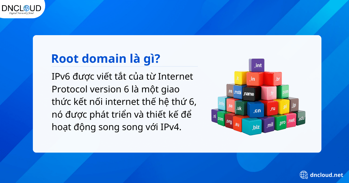 Root domain là gì?