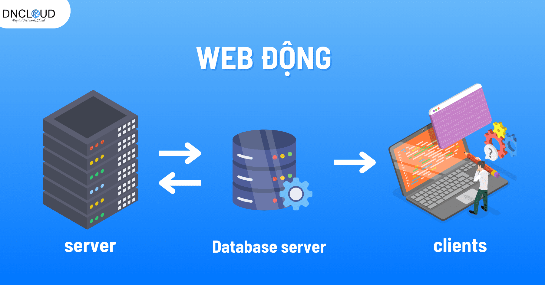 Hoạt động của web động